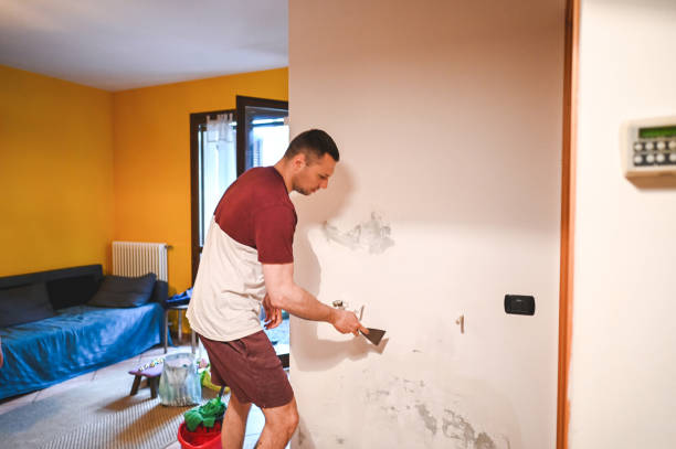 Best Local Mold Removal Service  in Belfast, ME